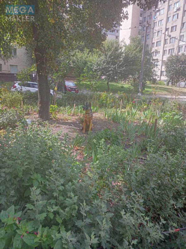 Продаж 1 кімнатної квартири (29/16/5,8), 2 пов. 9 пов. будинку, <a class="location-link" href="/kiev/" title="Недвижимость Київ">Київ</a>, <a class="location-link" href="/kiev/solomenskij/" title="Недвижимость Солом'янський район">Солом'янський р-н</a>, Васильченко ул., 12 (изображение 2)