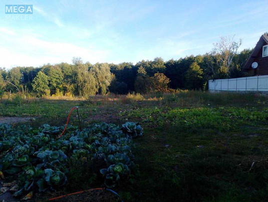 Продаж дома, 1&nbsp; поверх, 60&nbsp;кв.м, 3&nbsp;кімнати, ділянка 44&nbsp;сотки, <a class="location-link" href="/zazimya/" title="Недвижимость Зазим'я">Зазим`я</a>, Лісна (изображение 21)