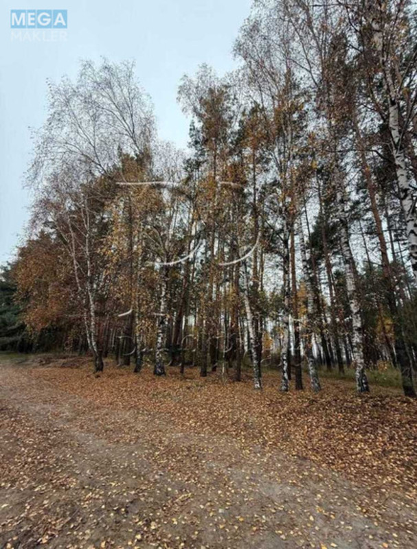 Продажа участка, 12&nbsp;соток, участок под жилую застройку, <a class="location-link" href="/demidov/" title="Недвижимость Демидів">Демидів</a>, СТ Вишеньки (изображение 2)