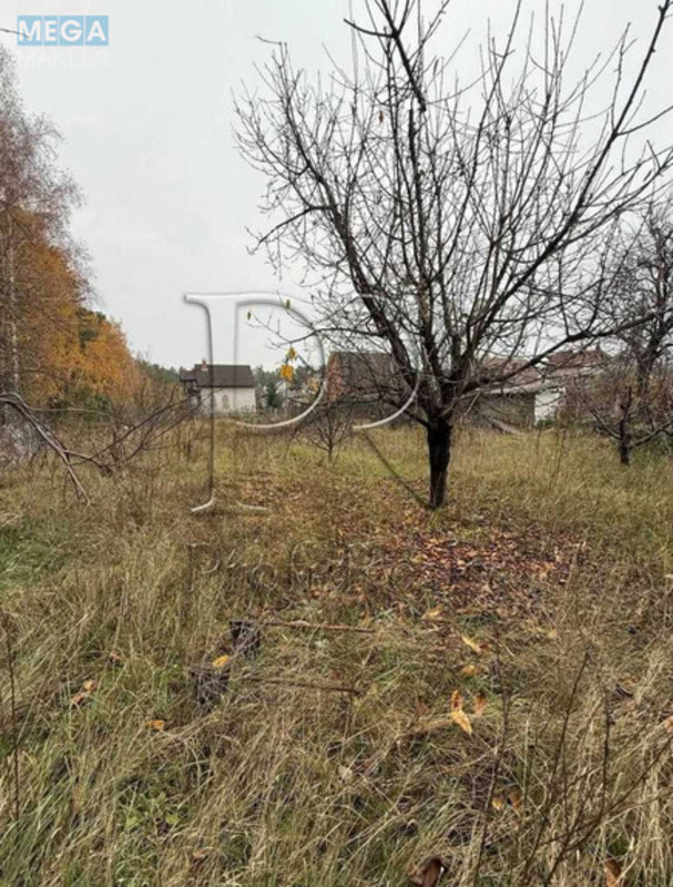 Продажа участка, 12&nbsp;соток, участок под жилую застройку, <a class="location-link" href="/demidov/" title="Недвижимость Демидів">Демидів</a>, СТ Вишеньки (изображение 3)