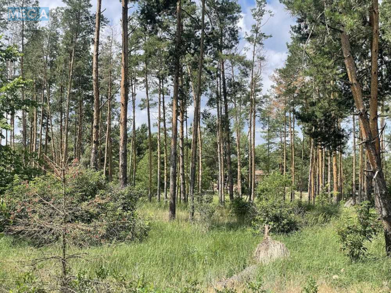 Продажа участка, 37&nbsp;соток, участок под жилую застройку, <a class="location-link" href="/lebedevka-selo-kv-vyshgorodskij-rajon/" title="Недвижимость Лебедівка">Лебедівка</a>, Головна (изображение 3)