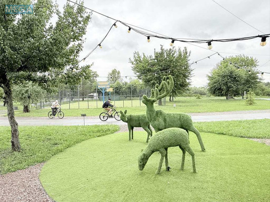 Продажа участка, 19,30&nbsp;соток, участок под жилую застройку, <a class="location-link" href="/hotyanovka/" title="Недвижимость Хотянівка">Хотянівка</a>, вул. Центральна (изображение 20)