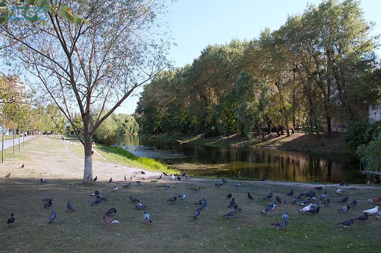 Оренда 1 кімнатної квартири, <a class="location-link" href="/kiev/" title="Недвижимость Київ">Київ</a>, <a class="location-link" href="/kiev/goloseevskij/" title="Недвижимость Голосіївський район">Голосіївський р-н</a>, Дмитра Луценка вул., 1б (изображение 17)