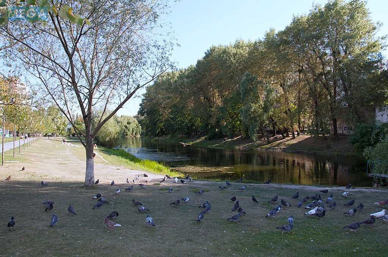 Оренда 1 кімнатної квартири, <a class="location-link" href="/kiev/" title="Недвижимость Київ">Київ</a>, <a class="location-link" href="/kiev/goloseevskij/" title="Недвижимость Голосіївський район">Голосіївський р-н</a>, Дмитра Луценка вул., 1б (изображение 17)