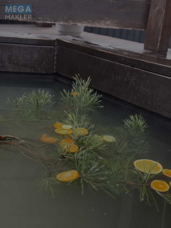 Оренда дома, <a class="location-link" href="/belogorodka-selo-kv/" title="Недвижимость Білогородка">Білогородка</a>, Кринична (изображение 24)