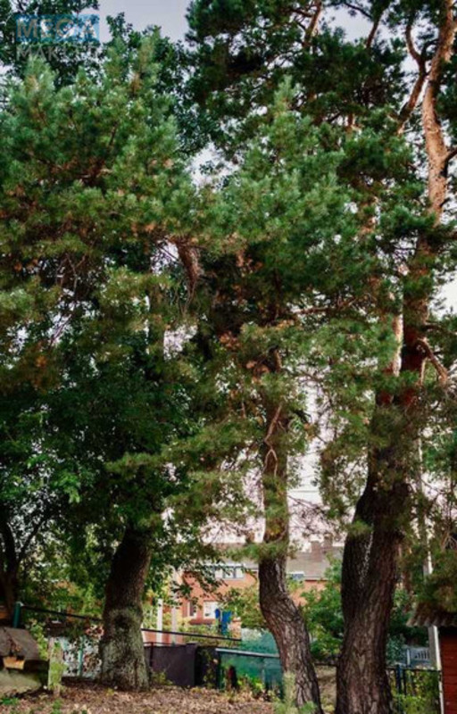 Продажа участка, 20&nbsp;соток, участок под жилую застройку, <a class="location-link" href="/plyuty/" title="Недвижимость Плюті">Плюти</a>, Малишка 8/1 (изображение 5)