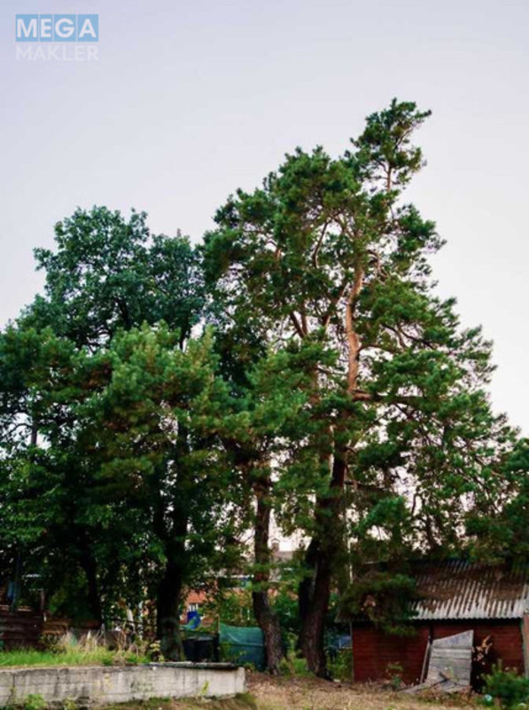 Продажа участка, 20&nbsp;соток, участок под жилую застройку, <a class="location-link" href="/plyuty/" title="Недвижимость Плюті">Плюти</a>, Малишка 8/1 (изображение 7)