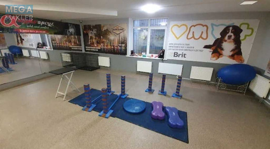 Продаж комерційної нерухомості, 227&nbsp;кв.м, под магазин, <a class="location-link" href="/kiev/" title="Недвижимость Київ">Київ</a>, <a class="location-link" href="/kiev/goloseevskij/" title="Недвижимость Голосіївський район">Голосіївський р-н</a>, Голосеевская ул., 13а (изображение 8)