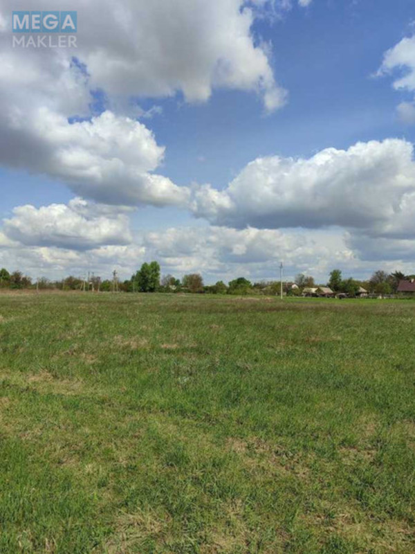 Продажа участка, 28,32&nbsp;соток, земля сельскохозяйственного назначения, <a class="location-link" href="/grebelki/" title="Недвижимость Гребельки">Гребельки</a>, нова (изображение 6)