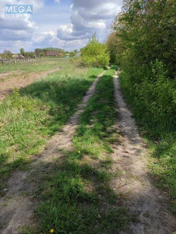 Продажа участка, 28,32&nbsp;соток, земля сельскохозяйственного назначения, <a class="location-link" href="/grebelki/" title="Недвижимость Гребельки">Гребельки</a>, нова (изображение 8)