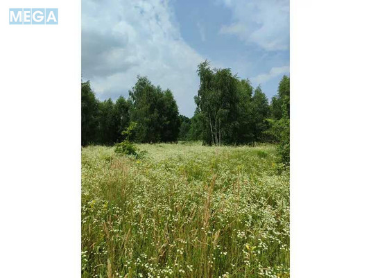 Продажа участка, 1&nbsp;446,95&nbsp;соток, земля сельскохозяйственного назначения, <a class="location-link" href="/lubyanka-selo-kv/" title="Недвижимость Луб'янка">Луб`янка</a>, Нова (изображение 3)