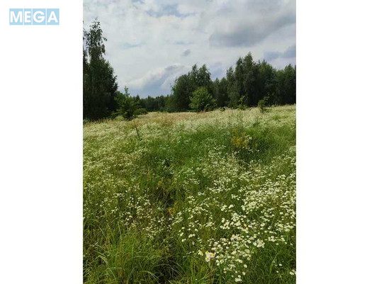 Продажа участка, 1&nbsp;446,95&nbsp;соток, земля сельскохозяйственного назначения, <a class="location-link" href="/lubyanka-selo-kv/" title="Недвижимость Луб'янка">Луб`янка</a>, Нова (изображение 8)