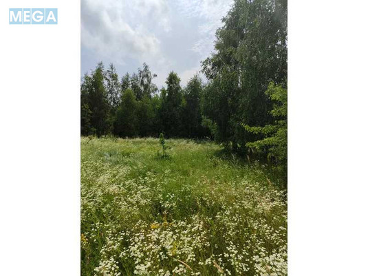 Продажа участка, 1&nbsp;446,95&nbsp;соток, земля сельскохозяйственного назначения, <a class="location-link" href="/lubyanka-selo-kv/" title="Недвижимость Луб'янка">Луб`янка</a>, Нова (изображение 9)