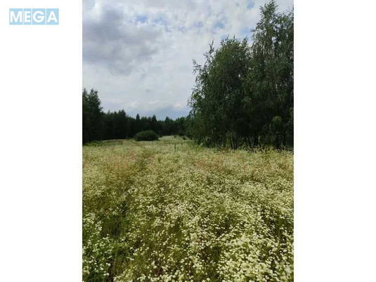 Продажа участка, 1&nbsp;446,95&nbsp;соток, земля сельскохозяйственного назначения, <a class="location-link" href="/lubyanka-selo-kv/" title="Недвижимость Луб'янка">Луб`янка</a>, Нова (изображение 12)