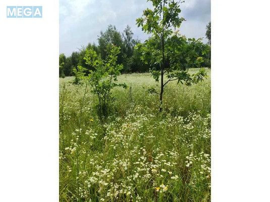 Продажа участка, 1&nbsp;446,95&nbsp;соток, земля сельскохозяйственного назначения, <a class="location-link" href="/lubyanka-selo-kv/" title="Недвижимость Луб'янка">Луб`янка</a>, Нова (изображение 13)