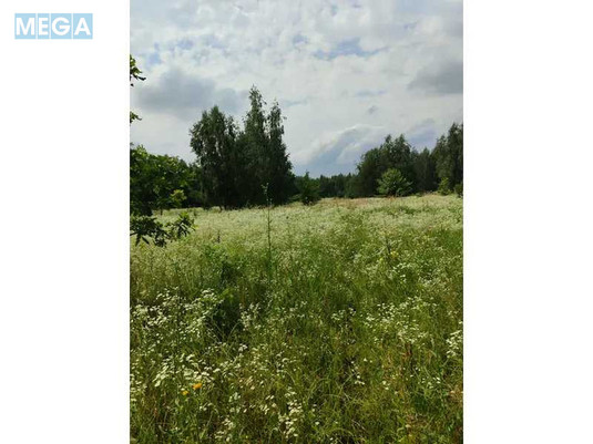 Продажа участка, 1&nbsp;446,95&nbsp;соток, земля сельскохозяйственного назначения, <a class="location-link" href="/lubyanka-selo-kv/" title="Недвижимость Луб'янка">Луб`янка</a>, Нова (изображение 15)