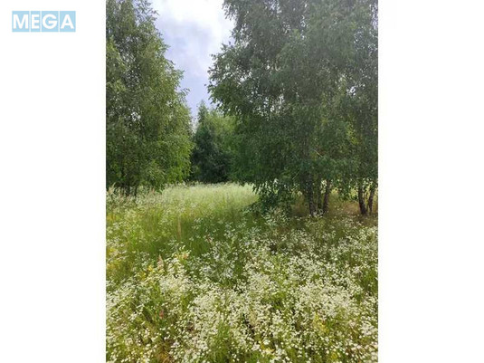 Продажа участка, 1&nbsp;446,95&nbsp;соток, земля сельскохозяйственного назначения, <a class="location-link" href="/lubyanka-selo-kv/" title="Недвижимость Луб'янка">Луб`янка</a>, Нова (изображение 17)