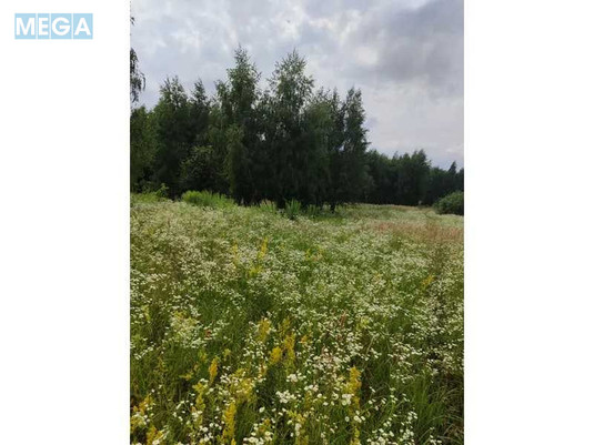 Продажа участка, 1&nbsp;446,95&nbsp;соток, земля сельскохозяйственного назначения, <a class="location-link" href="/lubyanka-selo-kv/" title="Недвижимость Луб'янка">Луб`янка</a>, Нова (изображение 24)