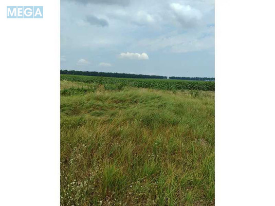 Продажа участка, 1&nbsp;519,95&nbsp;соток, земля сельскохозяйственного назначения, <a class="location-link" href="/lubyanka-selo-kv/" title="Недвижимость Луб'янка">Луб`янка</a>, Нова (изображение 3)