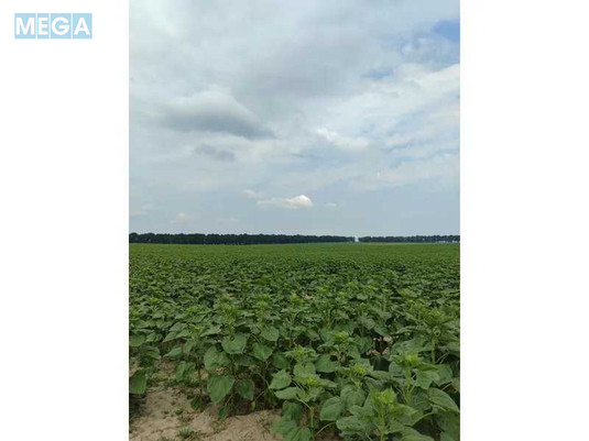 Продажа участка, 1&nbsp;519,95&nbsp;соток, земля сельскохозяйственного назначения, <a class="location-link" href="/lubyanka-selo-kv/" title="Недвижимость Луб'янка">Луб`янка</a>, Нова (изображение 5)