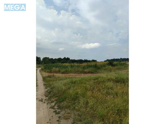 Продажа участка, 1&nbsp;519,95&nbsp;соток, земля сельскохозяйственного назначения, <a class="location-link" href="/lubyanka-selo-kv/" title="Недвижимость Луб'янка">Луб`янка</a>, Нова (изображение 9)