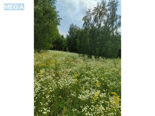 Продажа участка, 1&nbsp;689,42&nbsp;соток, земля сельскохозяйственного назначения, <a class="location-link" href="/ozera-selo-kv/" title="Недвижимость Озера">Озера</a>, Нова (изображение 2)