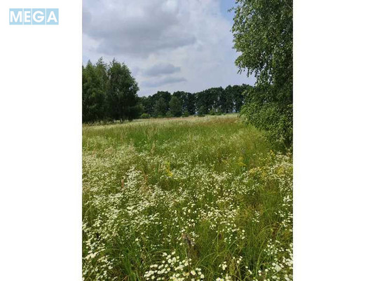 Продажа участка, 1&nbsp;689,42&nbsp;соток, земля сельскохозяйственного назначения, <a class="location-link" href="/ozera-selo-kv/" title="Недвижимость Озера">Озера</a>, Нова (изображение 17)