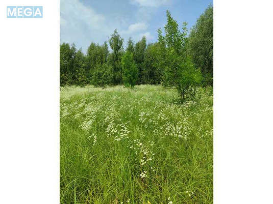 Продажа участка, 1&nbsp;689,42&nbsp;соток, земля сельскохозяйственного назначения, <a class="location-link" href="/ozera-selo-kv/" title="Недвижимость Озера">Озера</a>, Нова (изображение 18)