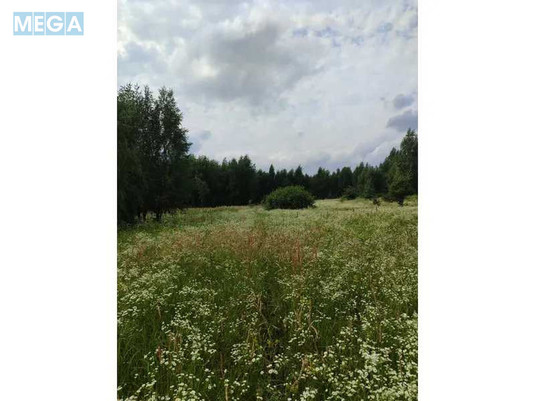 Продажа участка, 1&nbsp;689,42&nbsp;соток, земля сельскохозяйственного назначения, <a class="location-link" href="/ozera-selo-kv/" title="Недвижимость Озера">Озера</a>, Нова (изображение 22)
