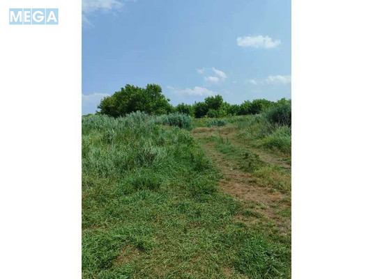 Продажа участка, 2&nbsp;152,23&nbsp;сотки, земля сельскохозяйственного назначения, <a class="location-link" href="/ozera-selo-kv/" title="Недвижимость Озера">Озера</a>, Нова (изображение 3)