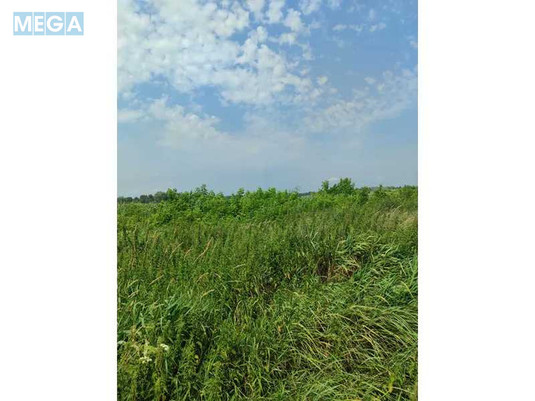 Продажа участка, 2&nbsp;152,23&nbsp;сотки, земля сельскохозяйственного назначения, <a class="location-link" href="/ozera-selo-kv/" title="Недвижимость Озера">Озера</a>, Нова (изображение 6)