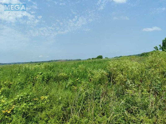 Продажа участка, 2&nbsp;152,23&nbsp;сотки, земля сельскохозяйственного назначения, <a class="location-link" href="/ozera-selo-kv/" title="Недвижимость Озера">Озера</a>, Нова (изображение 8)