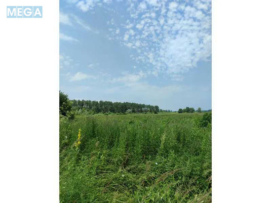 Продажа участка, 2&nbsp;152,23&nbsp;сотки, земля сельскохозяйственного назначения, <a class="location-link" href="/ozera-selo-kv/" title="Недвижимость Озера">Озера</a>, Нова (изображение 9)