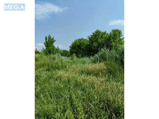 Продажа участка, 2&nbsp;152,23&nbsp;сотки, земля сельскохозяйственного назначения, <a class="location-link" href="/ozera-selo-kv/" title="Недвижимость Озера">Озера</a>, Нова (изображение 12)