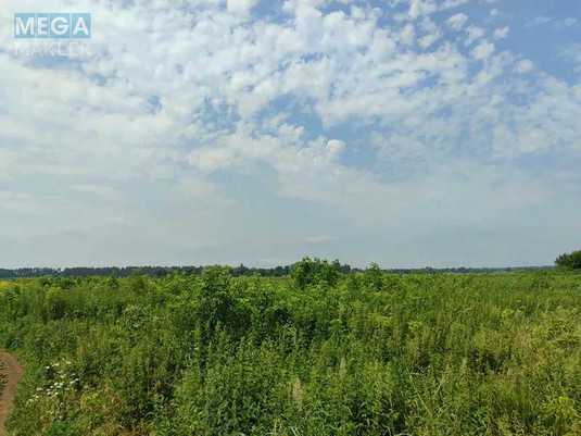 Продажа участка, 2&nbsp;152,23&nbsp;сотки, земля сельскохозяйственного назначения, <a class="location-link" href="/ozera-selo-kv/" title="Недвижимость Озера">Озера</a>, Нова (изображение 16)