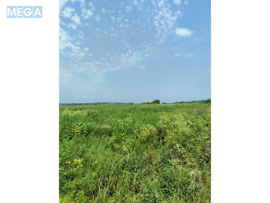 Продажа участка, 2&nbsp;152,23&nbsp;сотки, земля сельскохозяйственного назначения, <a class="location-link" href="/ozera-selo-kv/" title="Недвижимость Озера">Озера</a>, Нова (изображение 17)