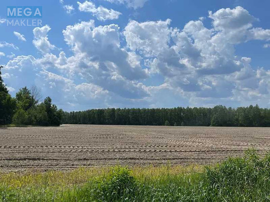 Продажа участка, 38,71&nbsp;соток, земля сельскохозяйственного назначения, <a class="location-link" href="/maryanovka-selo-kv-makarovskij-rajon/" title="Недвижимость Мар'янівка">Мар`янівка</a>, Нова (изображение 2)