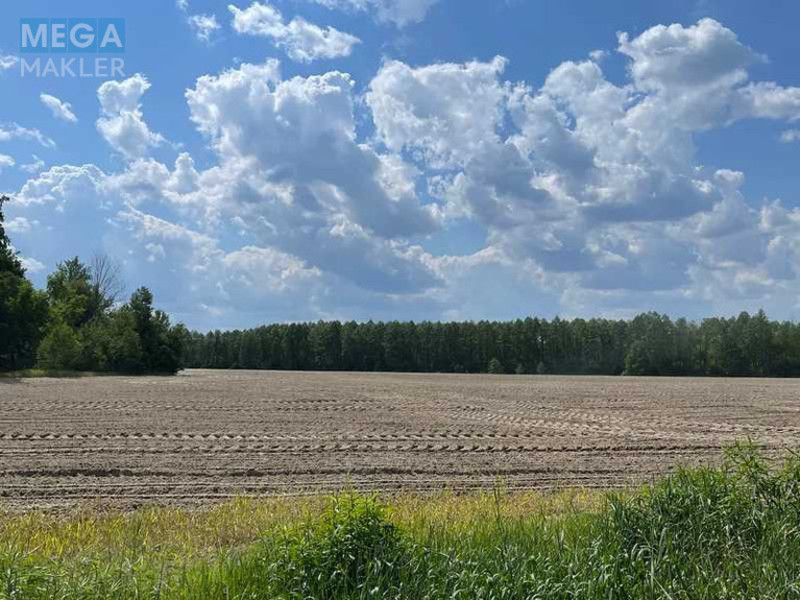 Продажа участка, 38,71&nbsp;соток, земля сельскохозяйственного назначения, <a class="location-link" href="/maryanovka-selo-kv-makarovskij-rajon/" title="Недвижимость Мар'янівка">Мар`янівка</a>, Нова (изображение 2)