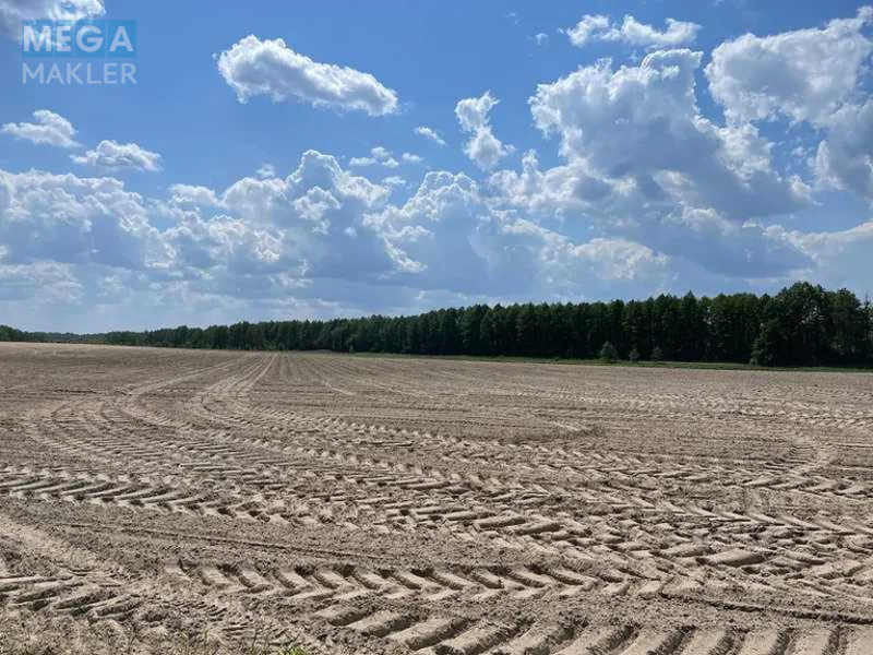 Продажа участка, 38,71&nbsp;соток, земля сельскохозяйственного назначения, <a class="location-link" href="/maryanovka-selo-kv-makarovskij-rajon/" title="Недвижимость Мар'янівка">Мар`янівка</a>, Нова (изображение 3)