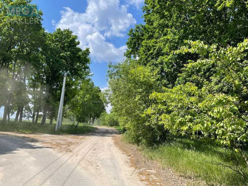 Продажа участка, 38,71&nbsp;соток, земля сельскохозяйственного назначения, <a class="location-link" href="/maryanovka-selo-kv-makarovskij-rajon/" title="Недвижимость Мар'янівка">Мар`янівка</a>, Нова (изображение 5)