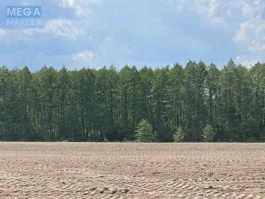 Продажа участка, 38,71&nbsp;соток, земля сельскохозяйственного назначения, <a class="location-link" href="/maryanovka-selo-kv-makarovskij-rajon/" title="Недвижимость Мар'янівка">Мар`янівка</a>, Нова (изображение 7)