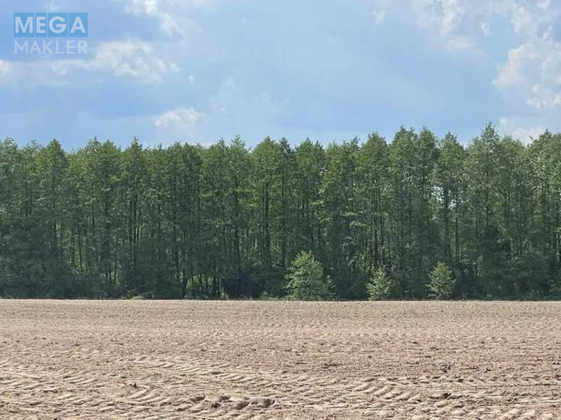 Продажа участка, 38,71&nbsp;соток, земля сельскохозяйственного назначения, <a class="location-link" href="/maryanovka-selo-kv-makarovskij-rajon/" title="Недвижимость Мар'янівка">Мар`янівка</a>, Нова (изображение 7)