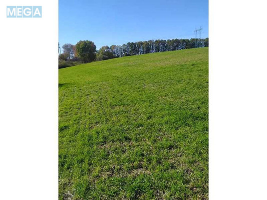 Продажа участка, 10&nbsp;соток, земля сельскохозяйственного назначения, <a class="location-link" href="/podgorcy-selo/" title="Недвижимость Підгірці">Підгірці</a>, Нова (изображение 2)