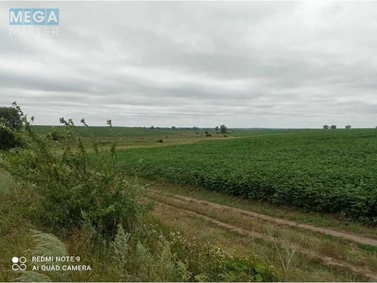 Продажа участка, 43,41&nbsp;сотки, земля сельскохозяйственного назначения, <a class="location-link" href="/pisarevka-selo-km/" title="Недвижимость Писарівка">Писарівка</a>, Нова 2 (изображение 2)