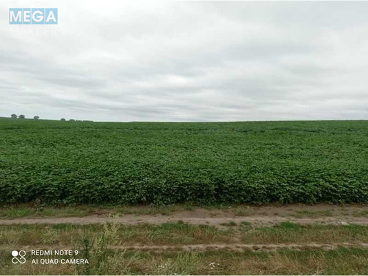 Продажа участка, 43,41&nbsp;сотки, земля сельскохозяйственного назначения, <a class="location-link" href="/pisarevka-selo-km/" title="Недвижимость Писарівка">Писарівка</a>, Нова 2 (изображение 3)