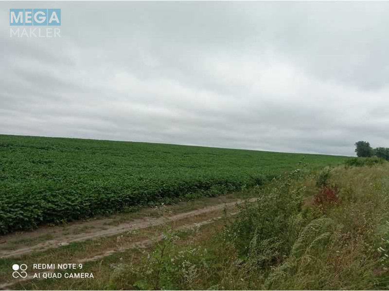 Продажа участка, 43,41&nbsp;сотки, земля сельскохозяйственного назначения, <a class="location-link" href="/pisarevka-selo-km/" title="Недвижимость Писарівка">Писарівка</a>, <a class="location-link" href="/pisarevka-selo-km/pecherskij/" title="Недвижимость Печерский район">Печерский р-н</a>, Нова 2 (изображение 4)