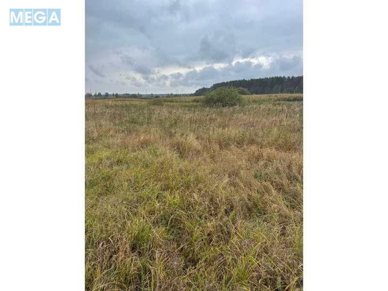 Продажа участка, 167,12&nbsp;соток, земля сельскохозяйственного назначения, <a class="location-link" href="/litvinovka-selo-kv/" title="Недвижимость Литвинівка">Литвинівка</a>, Нова (изображение 4)