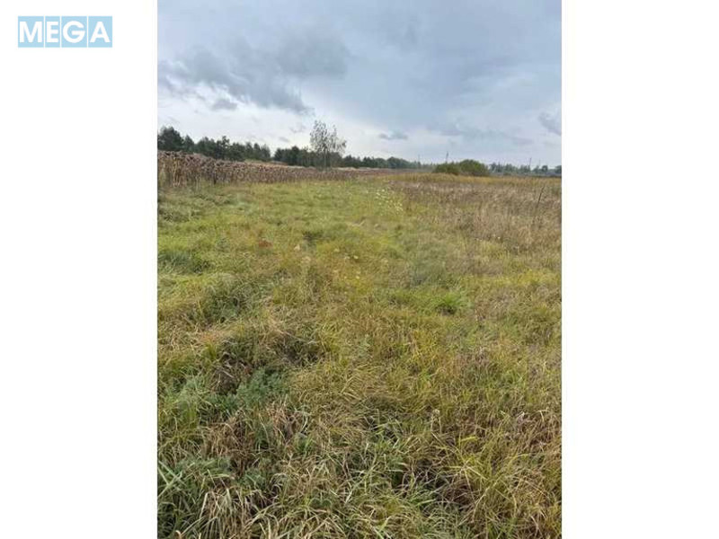 Продажа участка, 167,12&nbsp;соток, земля сельскохозяйственного назначения, <a class="location-link" href="/litvinovka-selo-kv/" title="Недвижимость Литвинівка">Литвинівка</a>, Нова (изображение 5)