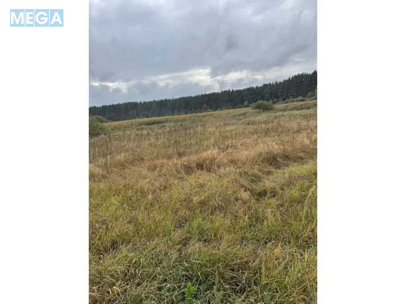 Продажа участка, 167,12&nbsp;соток, земля сельскохозяйственного назначения, <a class="location-link" href="/litvinovka-selo-kv/" title="Недвижимость Литвинівка">Литвинівка</a>, Нова (изображение 6)