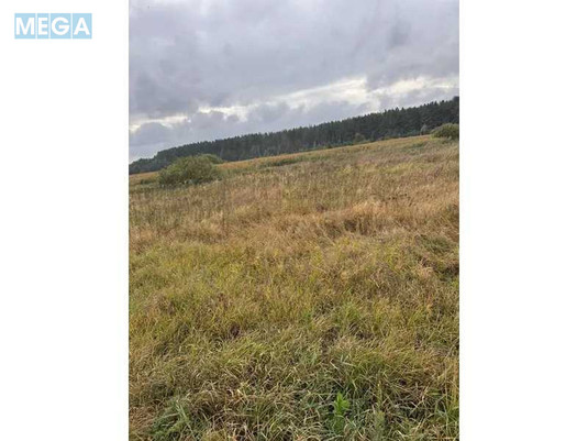 Продажа участка, 167,12&nbsp;соток, земля сельскохозяйственного назначения, <a class="location-link" href="/litvinovka-selo-kv/" title="Недвижимость Литвинівка">Литвинівка</a>, Нова (изображение 7)